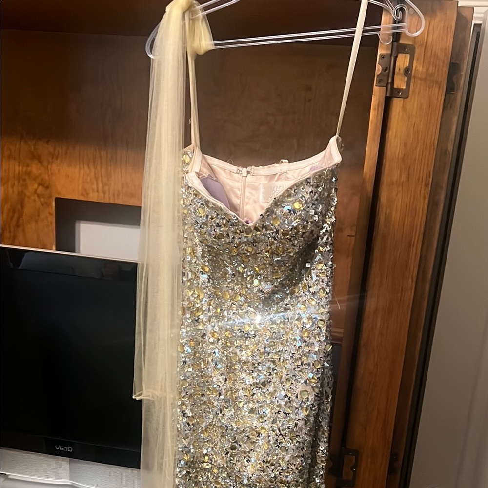 Cinderella Strapless Dress in Silver and Gold